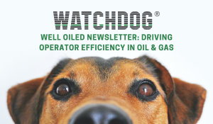 WATCHDOGS WELL OILED NEWSLETTER